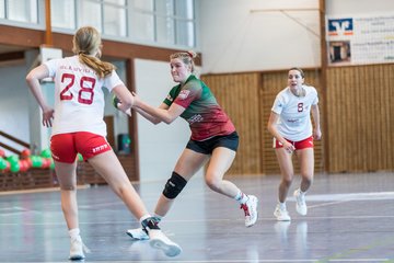 Bild 170 - F HSG Kremperheide/Muensterdorf - Slesvig IF 2 : Ergebnis: 30:26